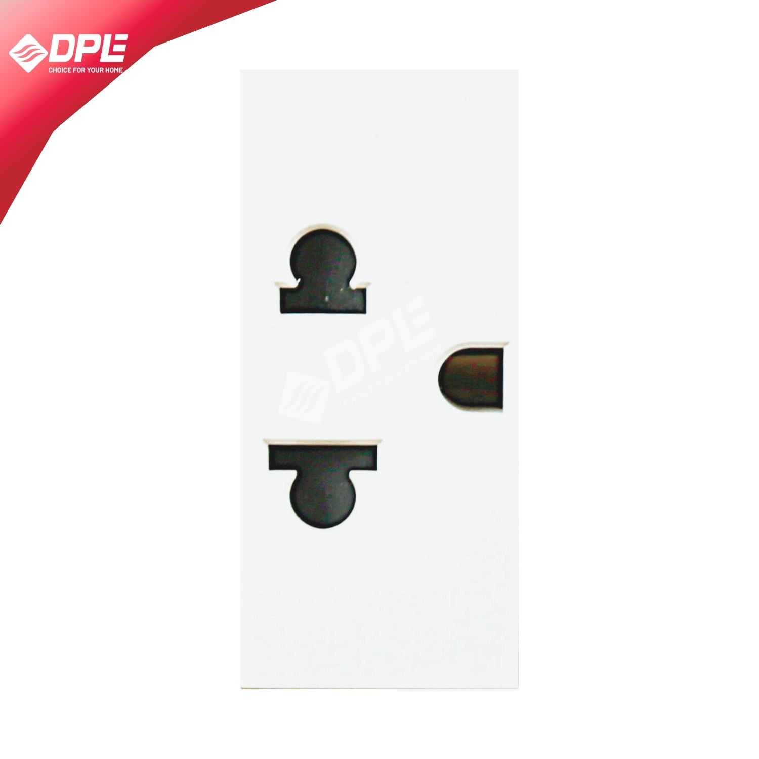 &Aacute;VASV